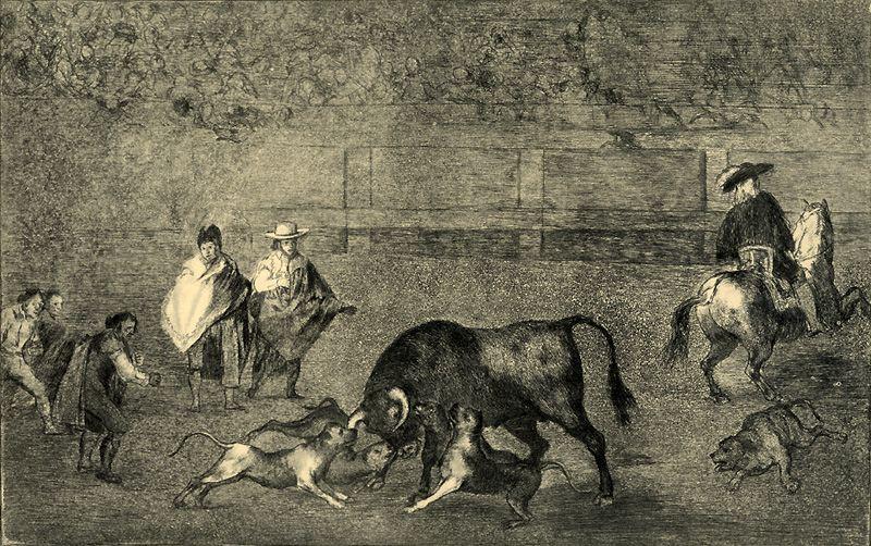 Perros Al Toro — Francisco José De Goya Y Lucientes
