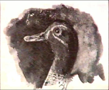 Duck's Head — ニコライ・ロエリヒ