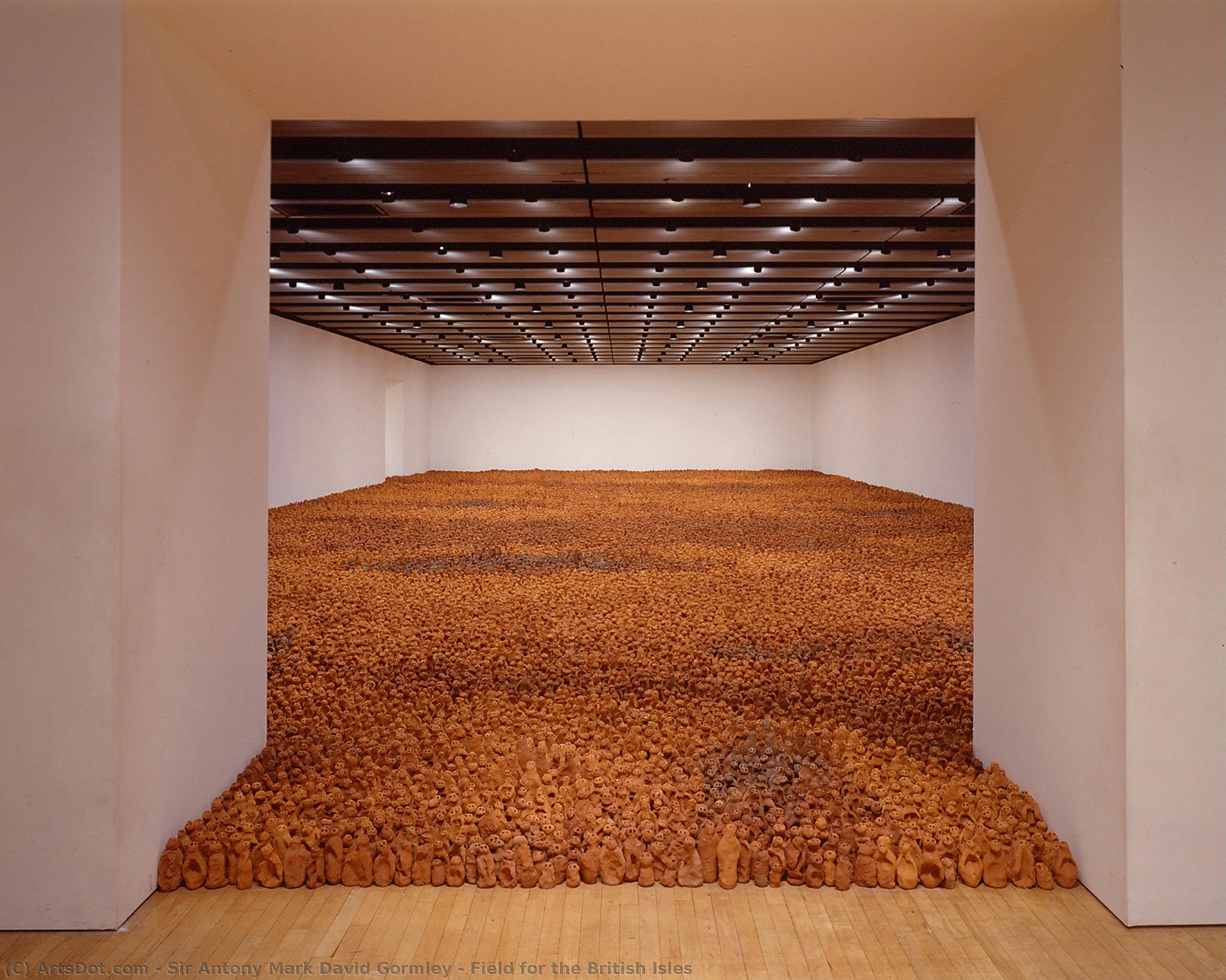 Field For The British Isles — Sir Antony Mark David Gormley