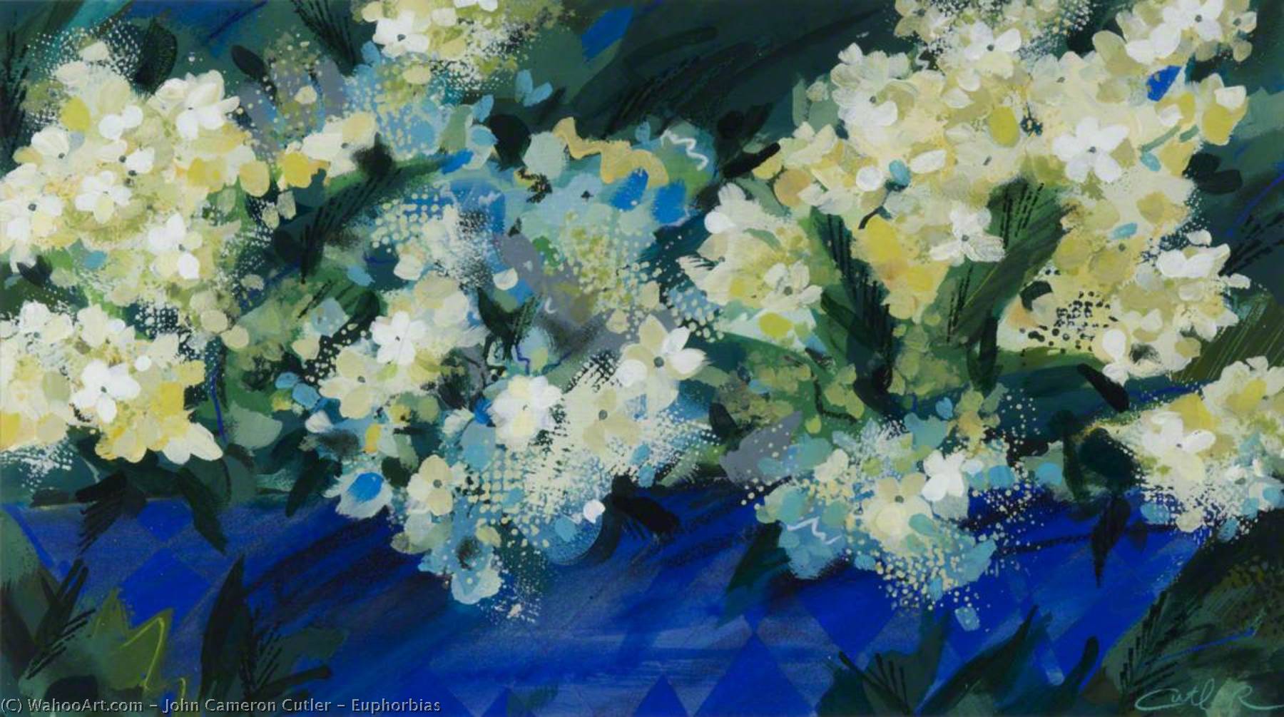 Euphorbias — John Cameron Cutler
