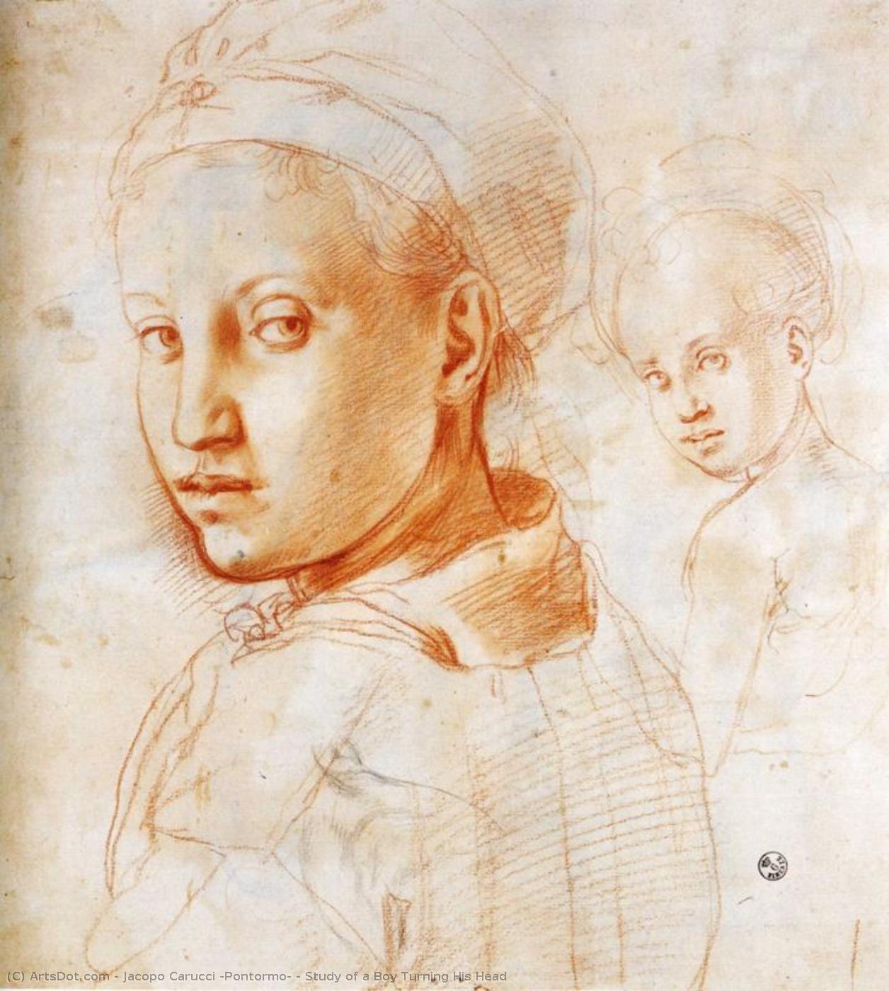 Study Of A Boy Turning His Head — Jacopo Carucci