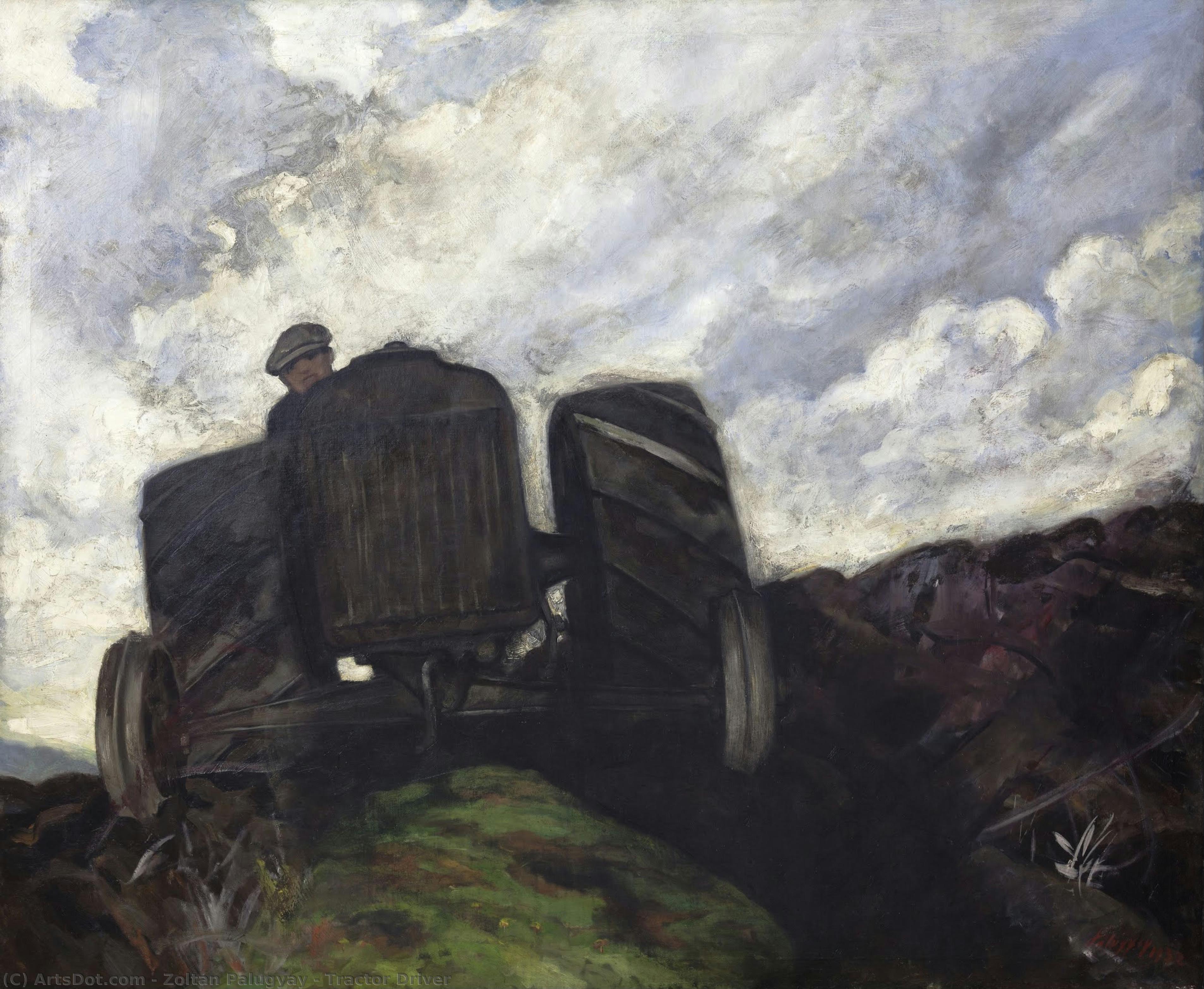 Tractor Driver — Zoltán Palugyay