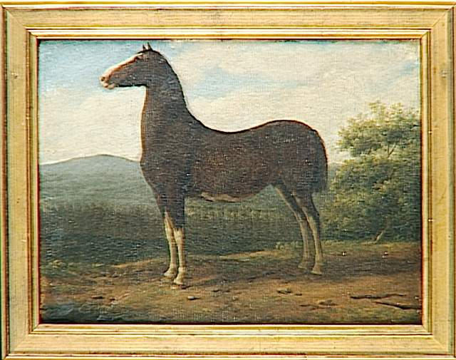 Cheval De Napoléon Ier La Belle — Martinet Pierre