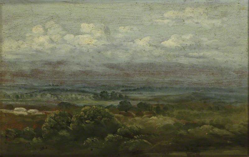View In The New Forest Near Southampton — David Charles Read