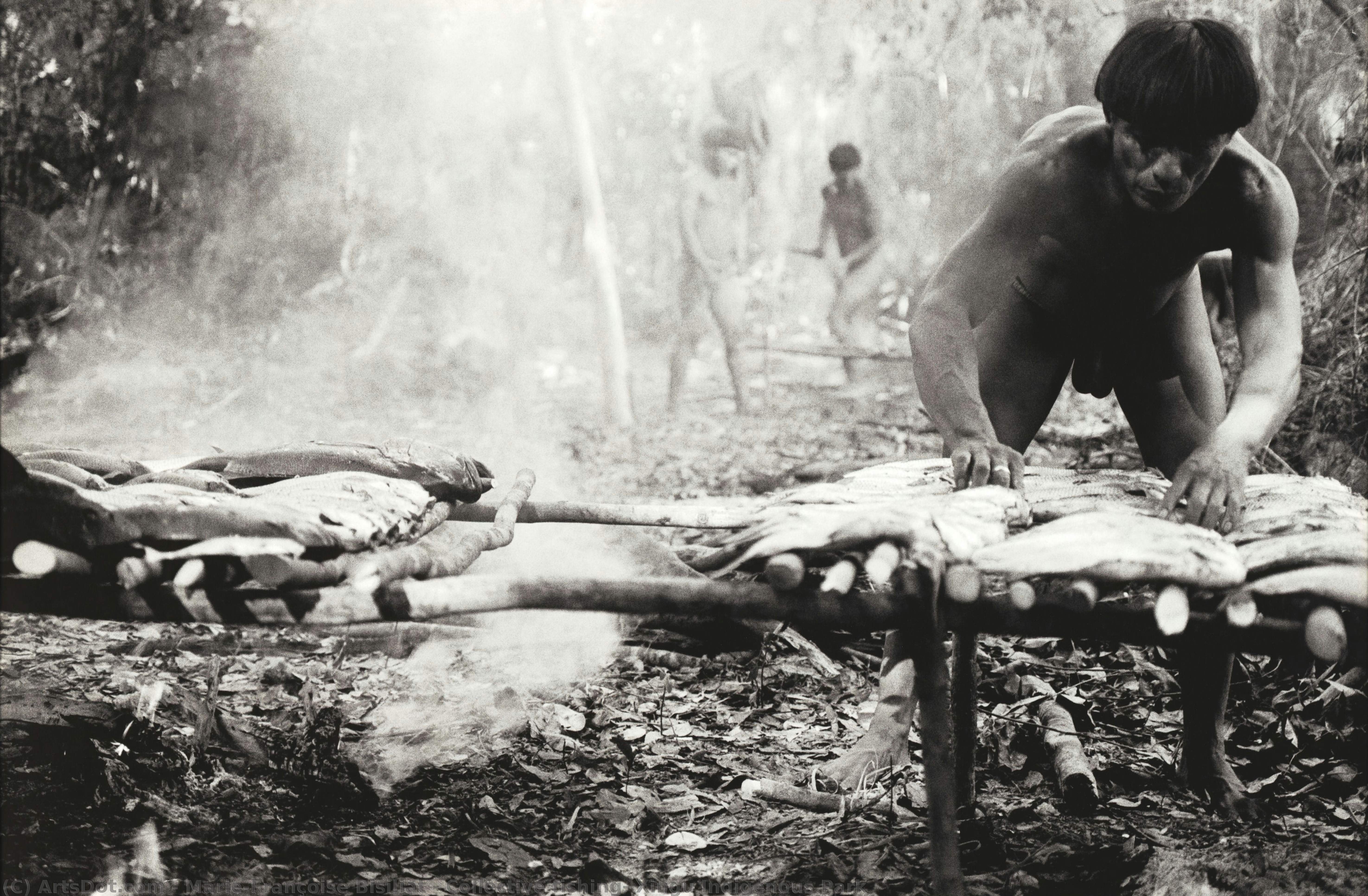 Collective Fishing, Xingu Indigenous Park — マリー＝フランソワ・ビシリヤット