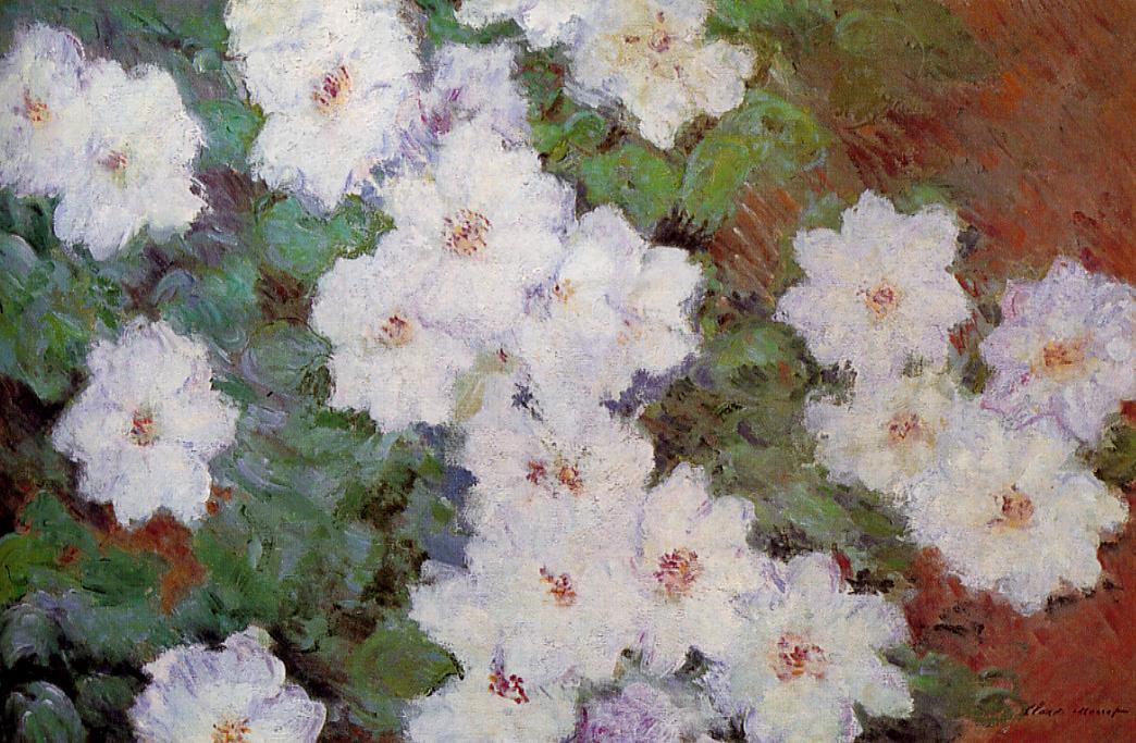 Clematis — Клод Моне