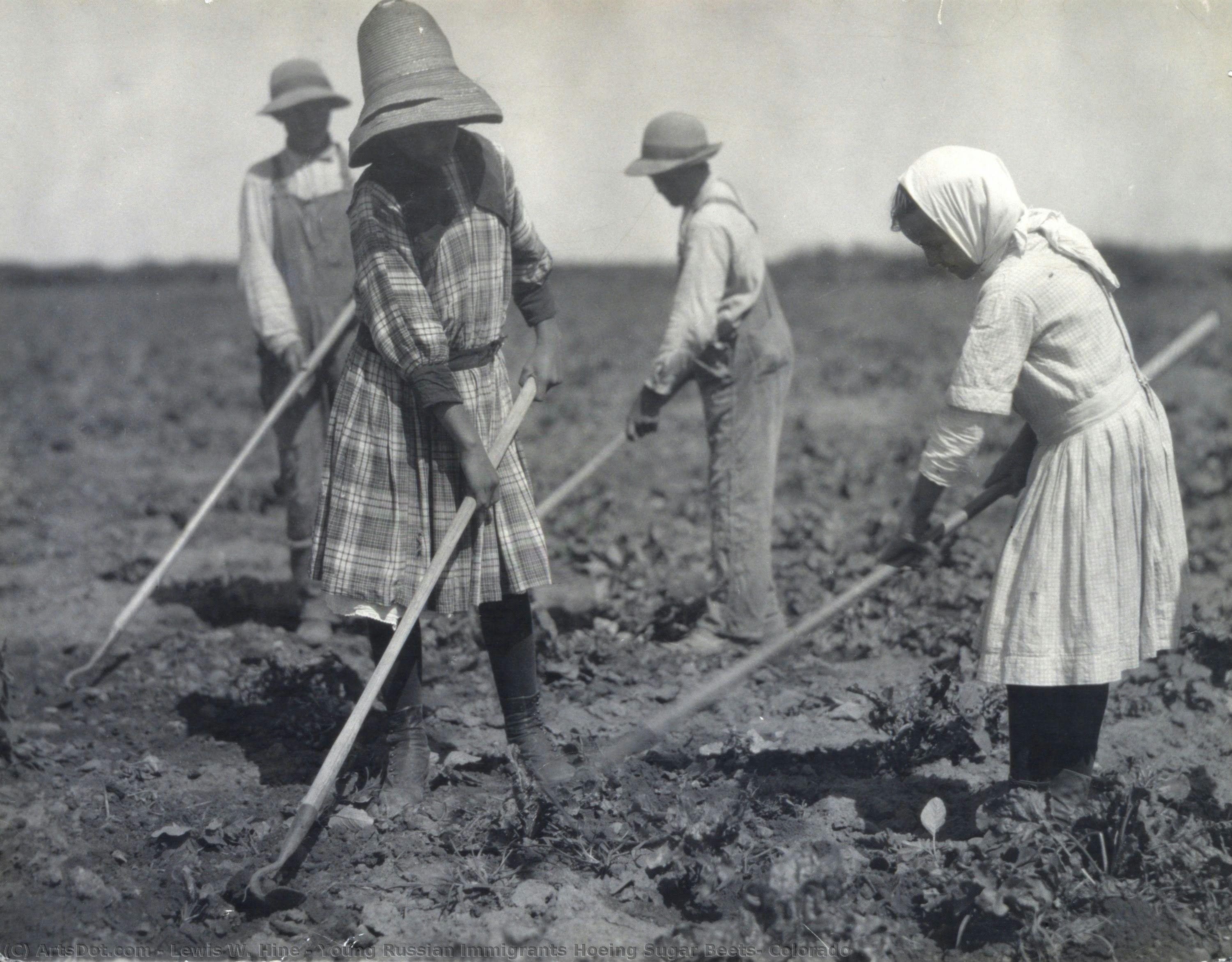 Young Russian Immigrants Hoeing Sugar Beets, Colorado — Lewis Wickes Hine