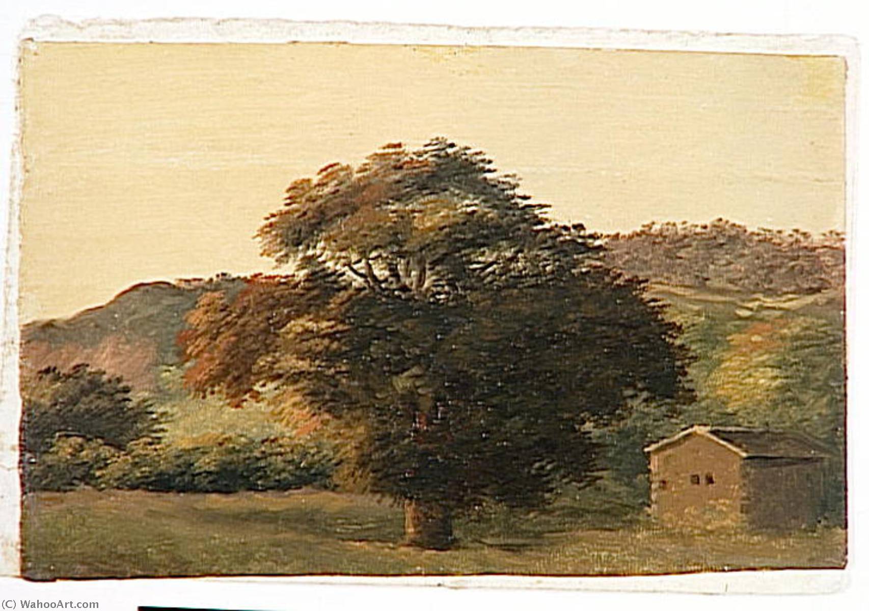 A La Rocca Di Papa Le Grand Arbre — Pierre Henri Valenciennes