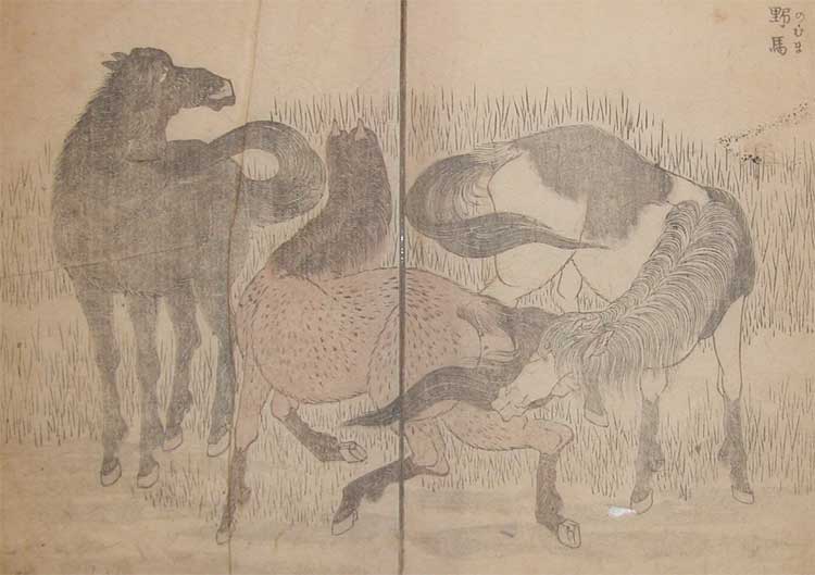 Wild Horses — Katsushika Hokusai