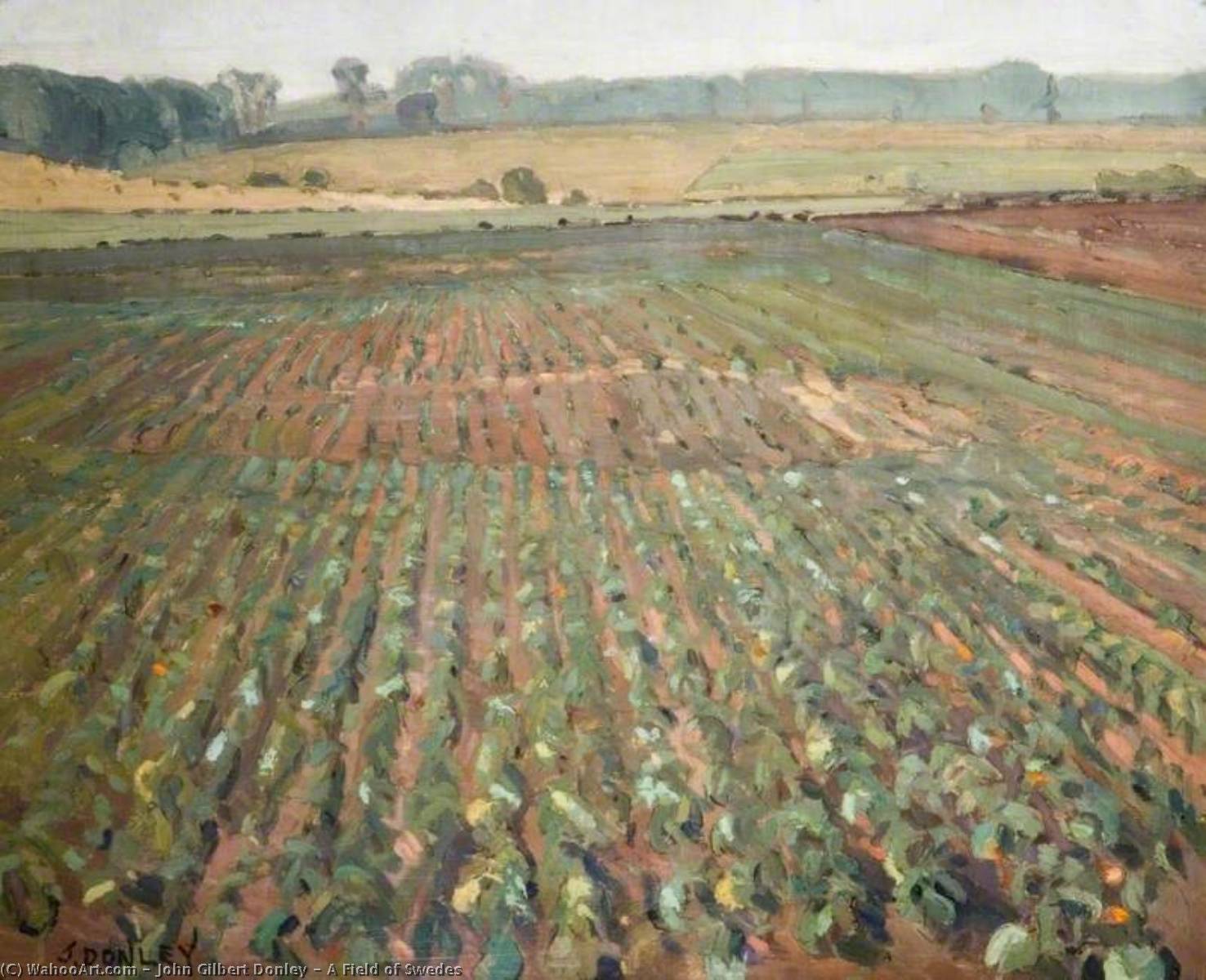 A Field Of Swedes — John Gilbert Donley