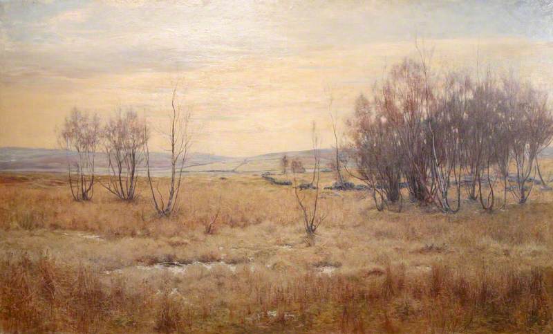 Moorland Landscape With Bare Trees — Walter Bertram Potter