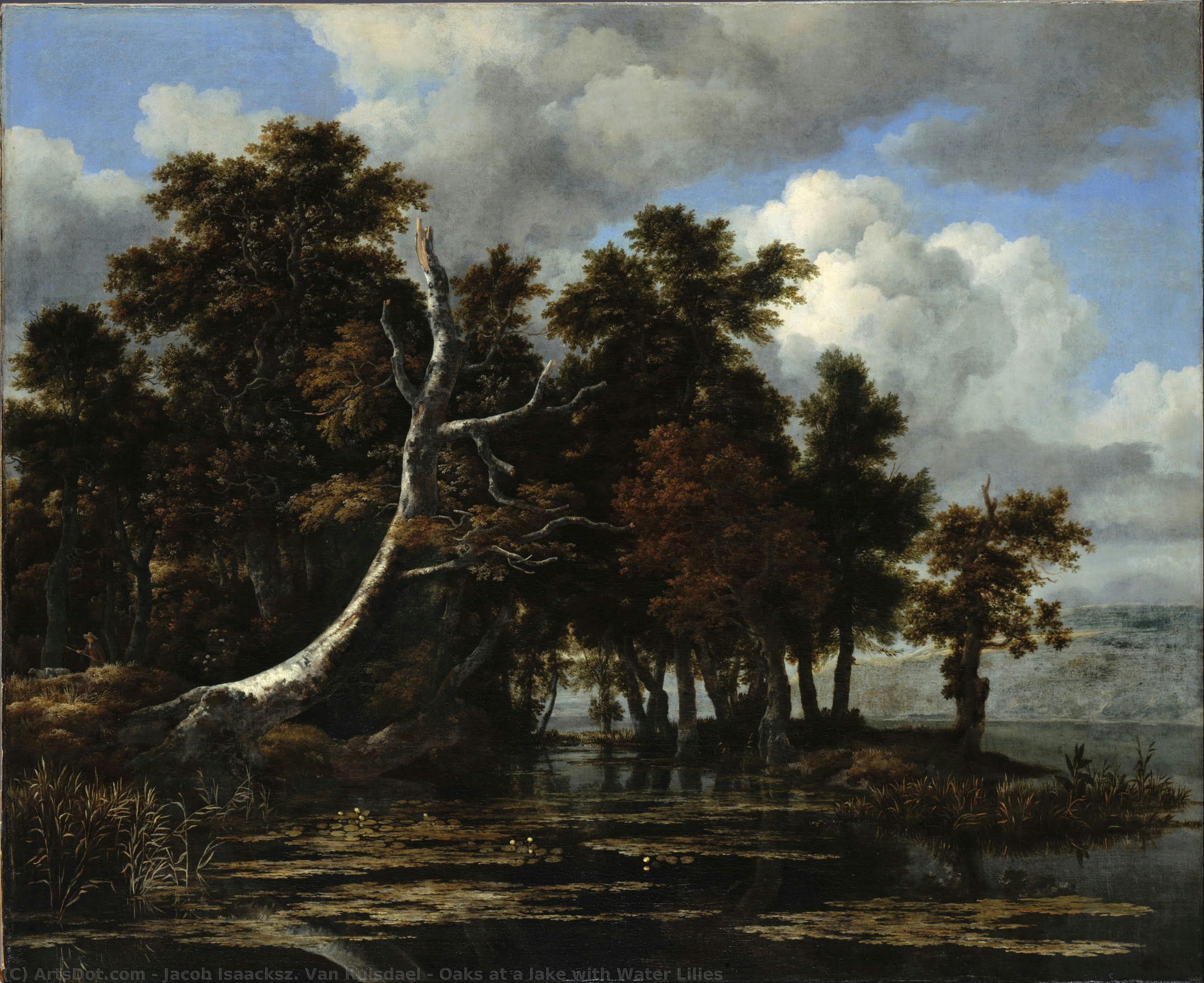 Oaks At A Lake With Water Lilies — Jacob Isaackszoon Van Ruisdael