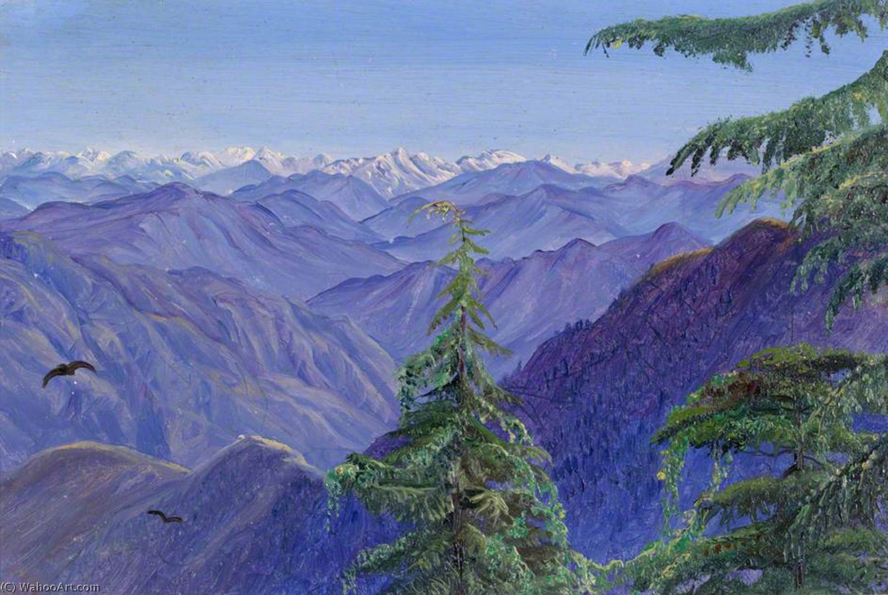 Von Nahl Dehra Nahe Simla (shimla), Himachal Pradesh, Indien — Marianne North