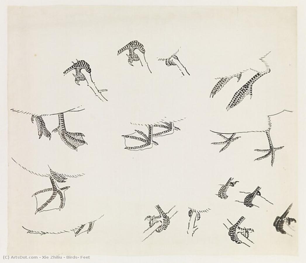 Birds' Feet — Xie Zhiliu