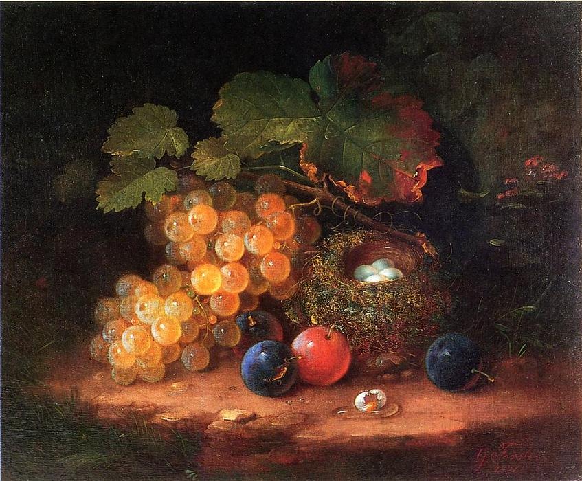 Still Life With Fruit, Bird's Nest And Broken Egg — Georg Forster