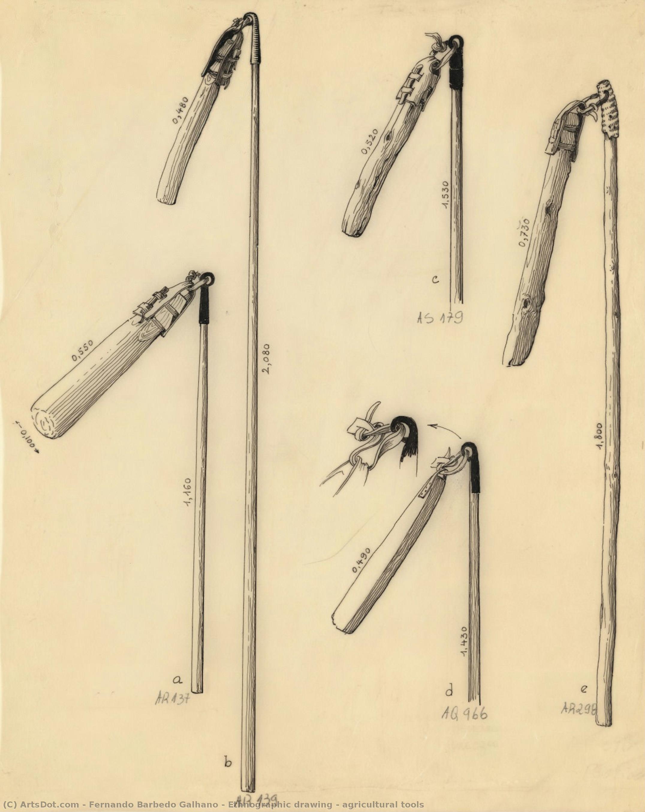 Ethnographic Drawing - Agricultural Tools — Фернандо Барбедо Гаљано