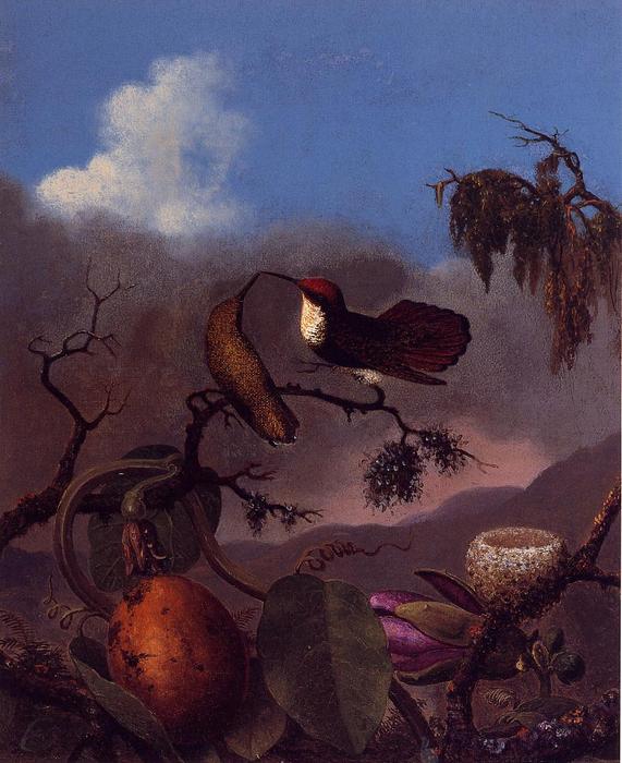 Ruby Topaz Hummingbirds — Martin Johnson Heade
