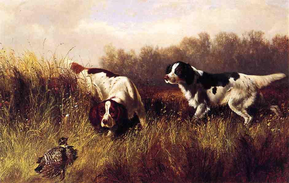 Prarie Shooting: Find Him — Arthur Fitzwilliam Tait