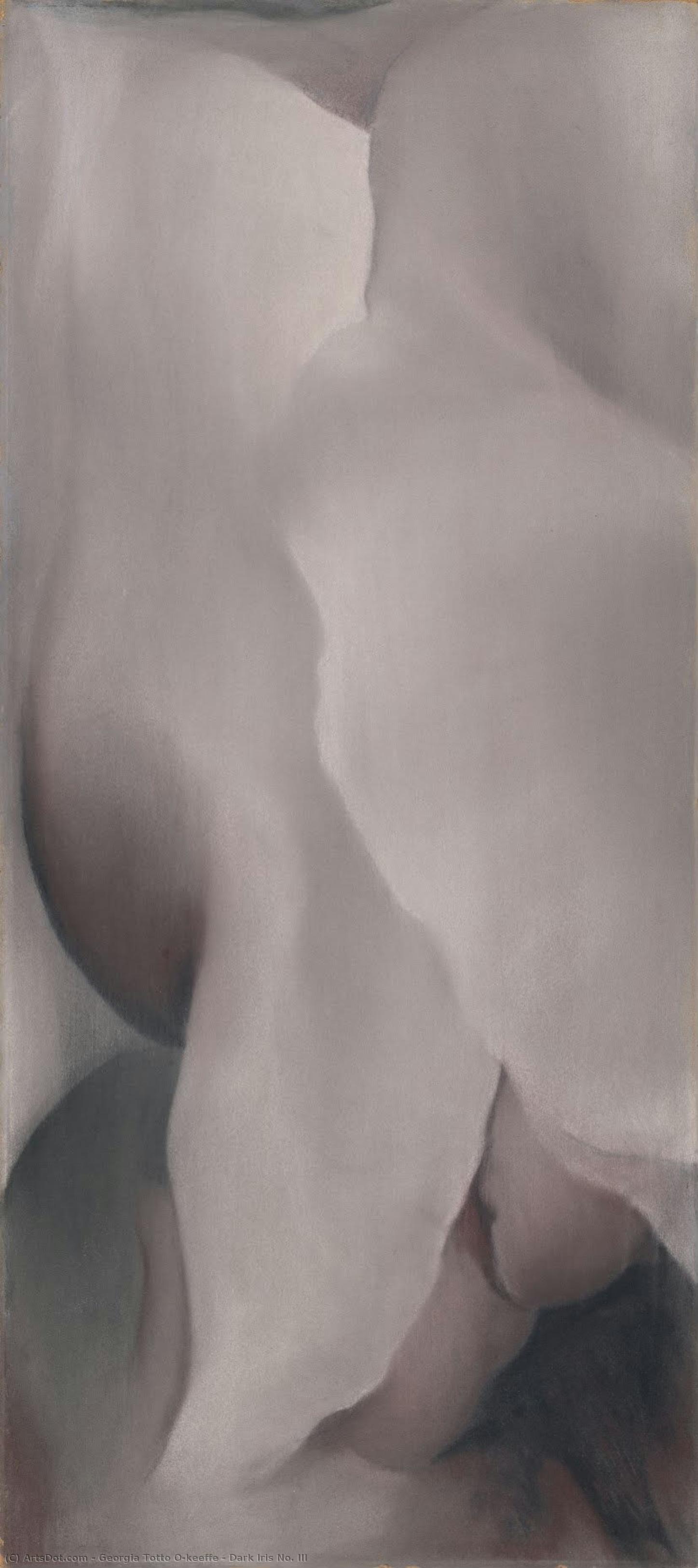 Iris Oscura N.º Iii — Georgia O'keeffe