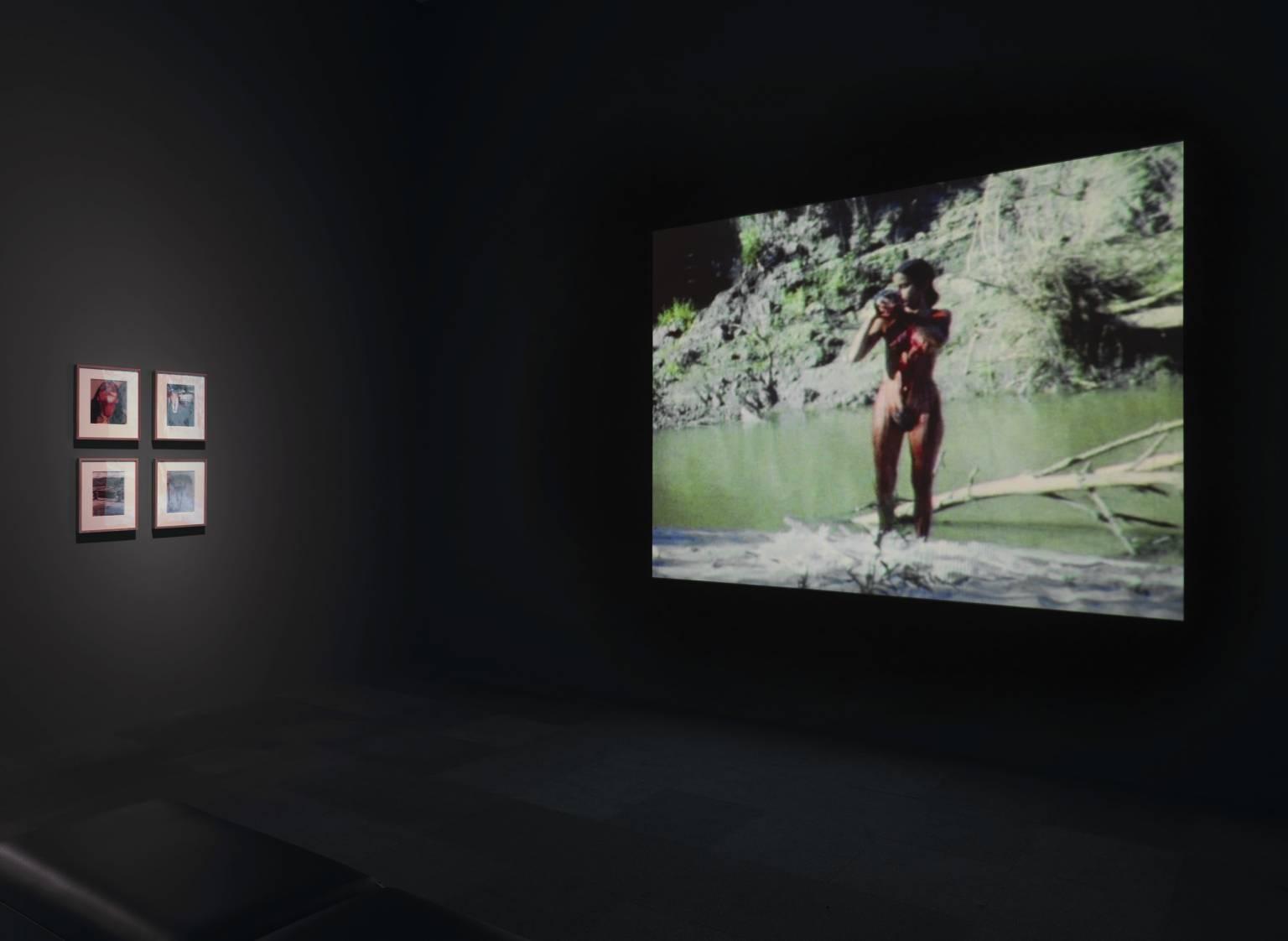 Untitled (blood And Feathers 2) — Ana Mendieta