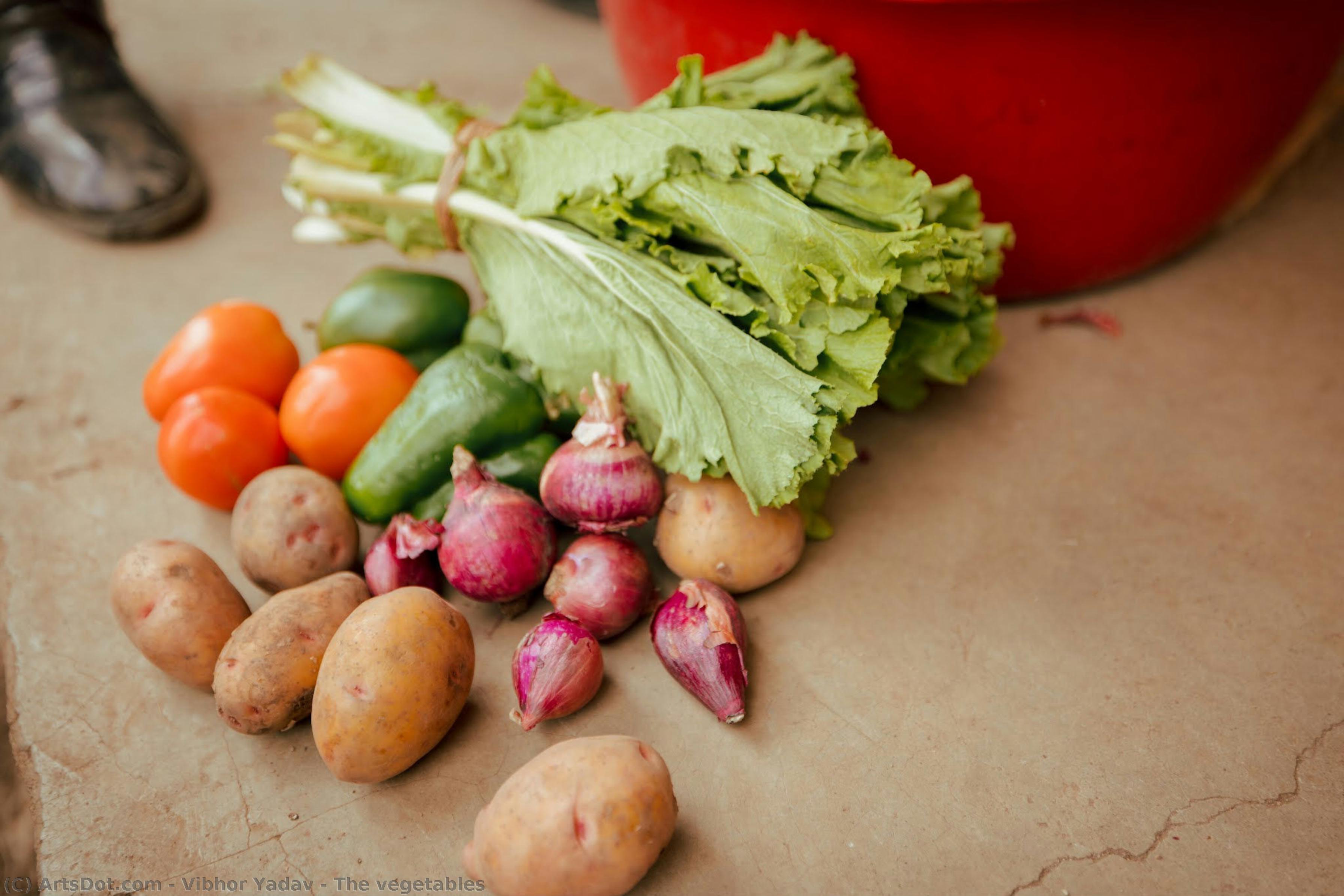 The Vegetables — Vibhor Yadav