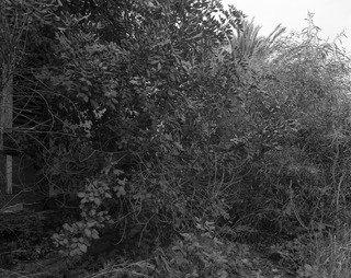 The Abbey Of Thelema 3 (from The Series Morning Of The Magicians) — Joachim Koester
