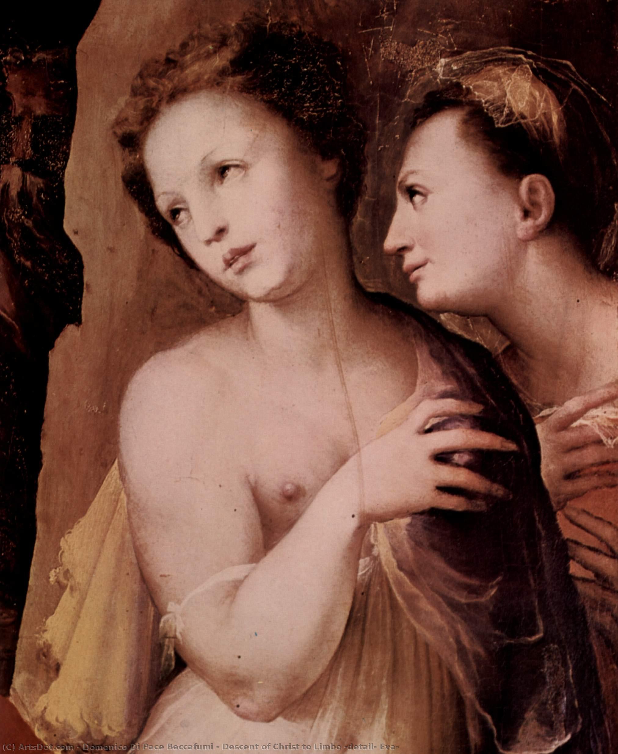 Descent Of Christ To Limbo (detail, Eva) — Domenico Di Pace Beccafumi