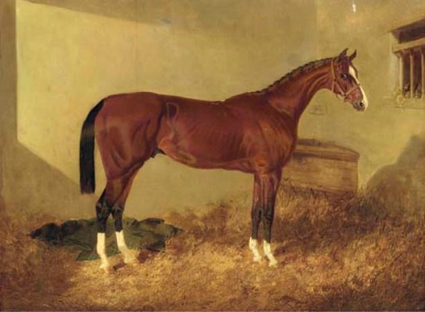 Aristides, A Bay Colt, In A Loosebox — Džon Frederik Hering Stariji