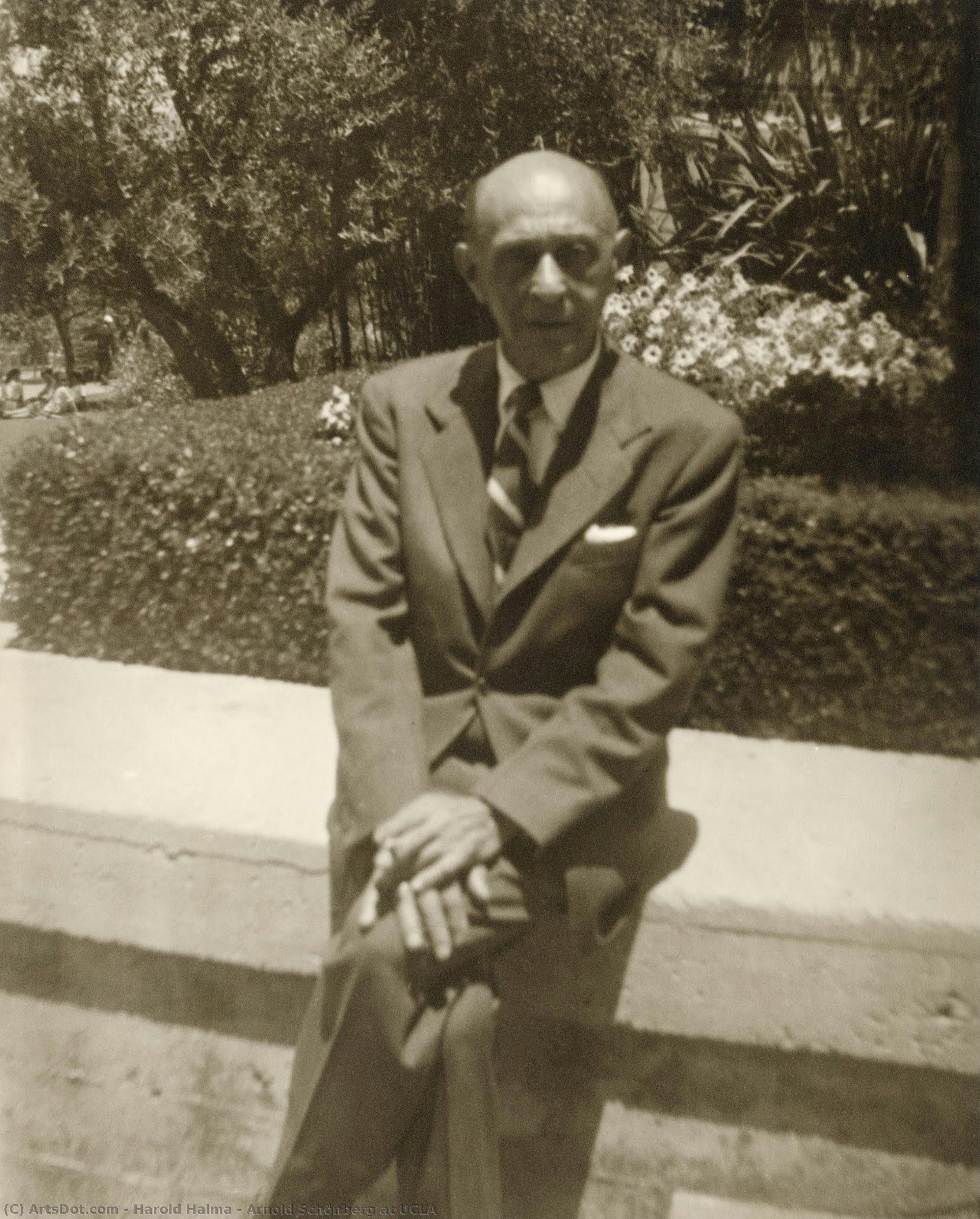 Arnold Schönberg At Ucla — Harold Halma
