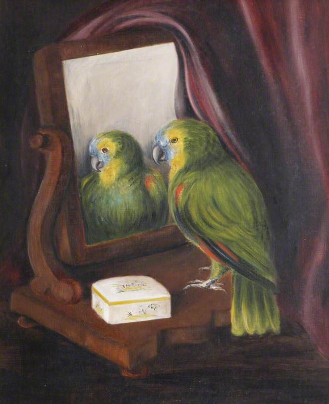 Miss Chichester's Parrot, 'polly', In Front Of A Mirror — Rosalie Chichester