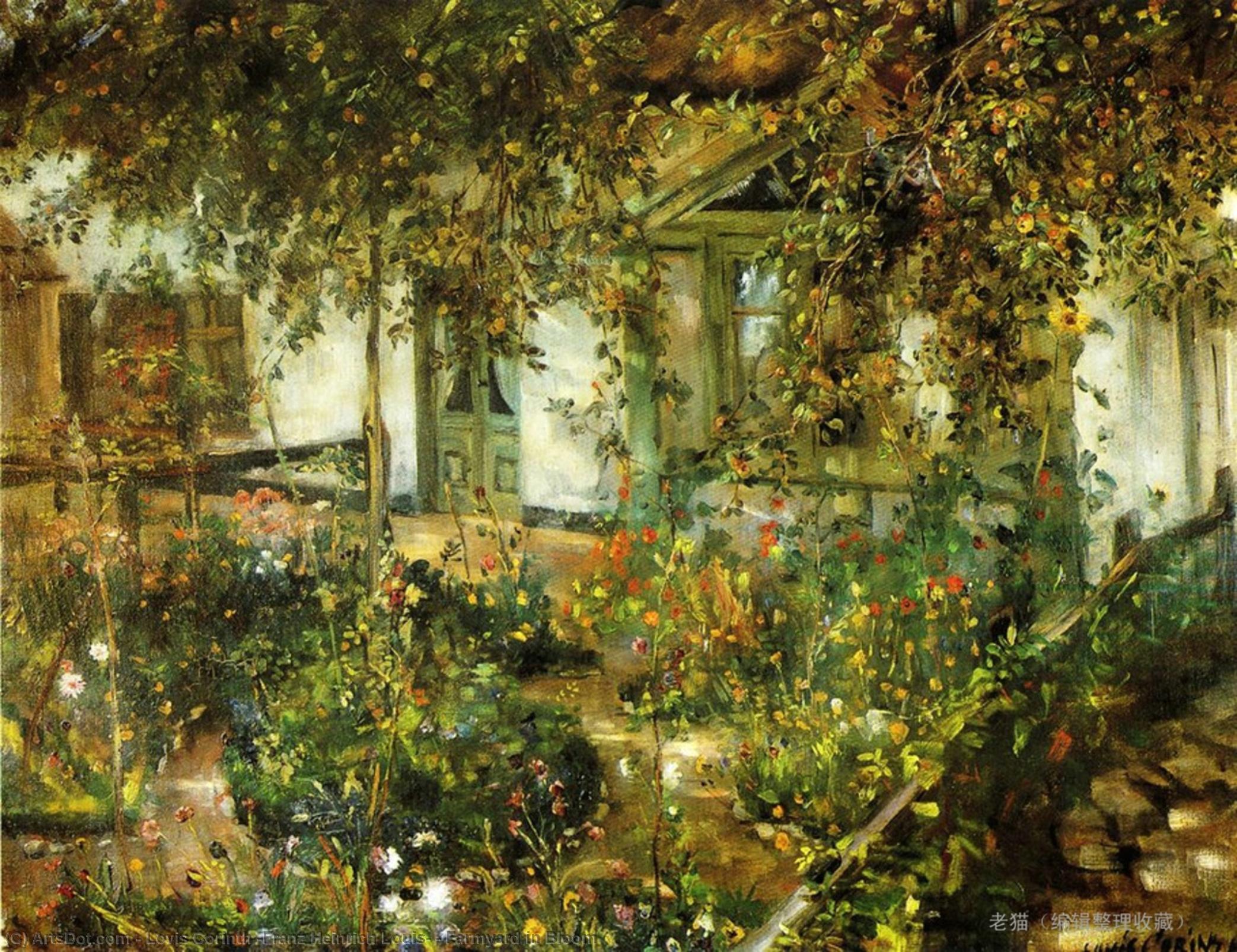 Farmyard In Bloom — ロービス・コリンス