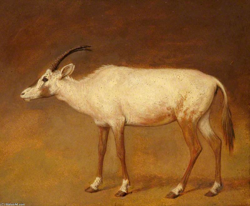 White Antelope — ジャック・ローラン・アガッセ