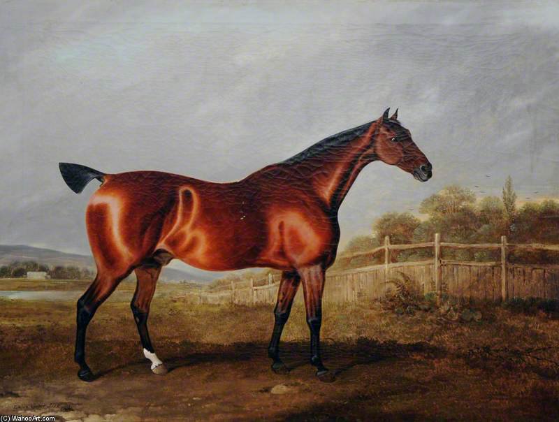A Bay Hunter In A Landscape — Edwin Cooper