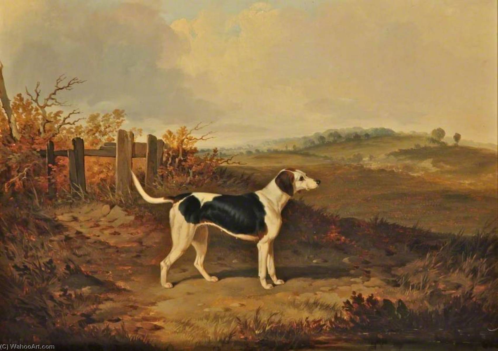 Foxhound In A Landscape (facing To The Right) — John Dalby