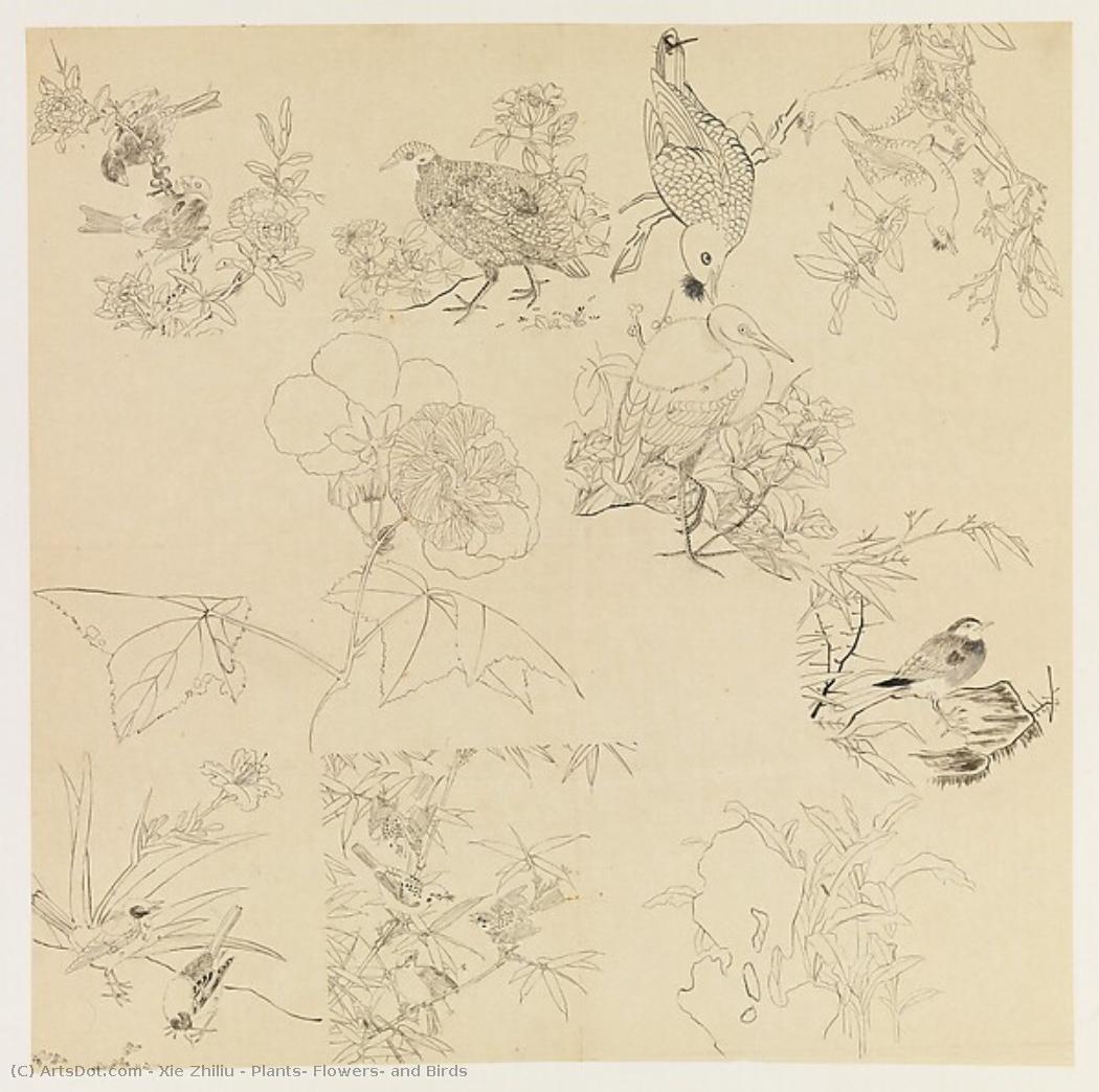 Plants, Flowers, And Birds — Xie Zhiliu
