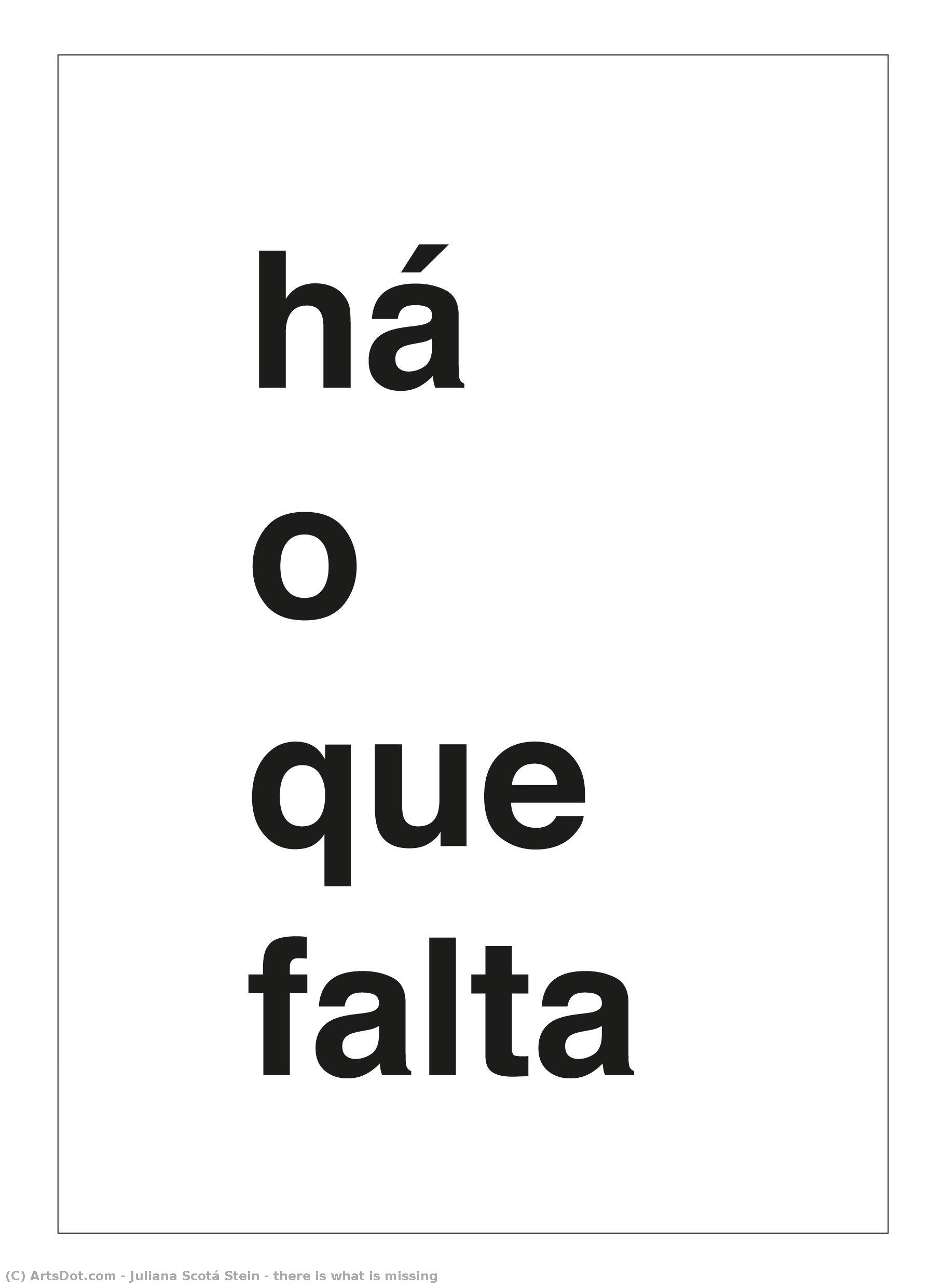 There Is What Is Missing — Juliana Scotá Stein