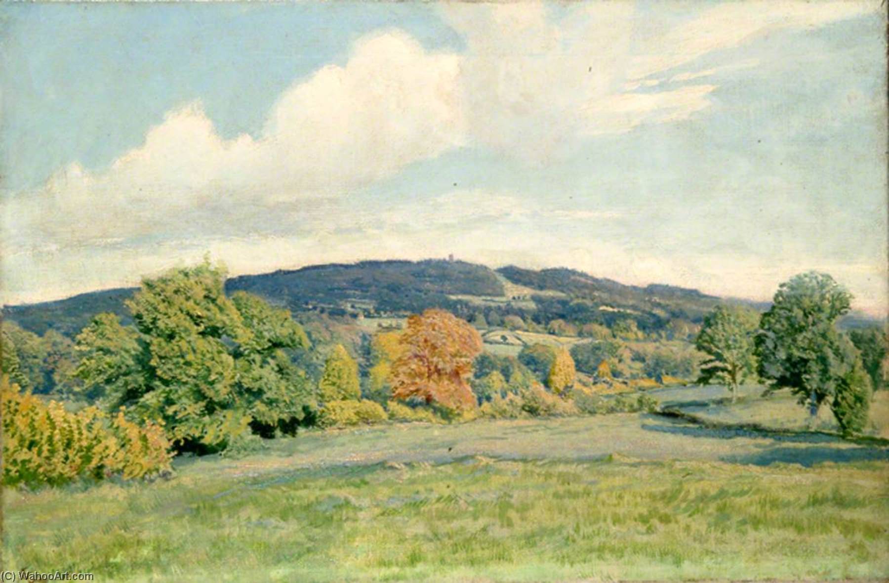 Distant View Of Leith Hill, Surrey, With Tower — Ernest C Christie