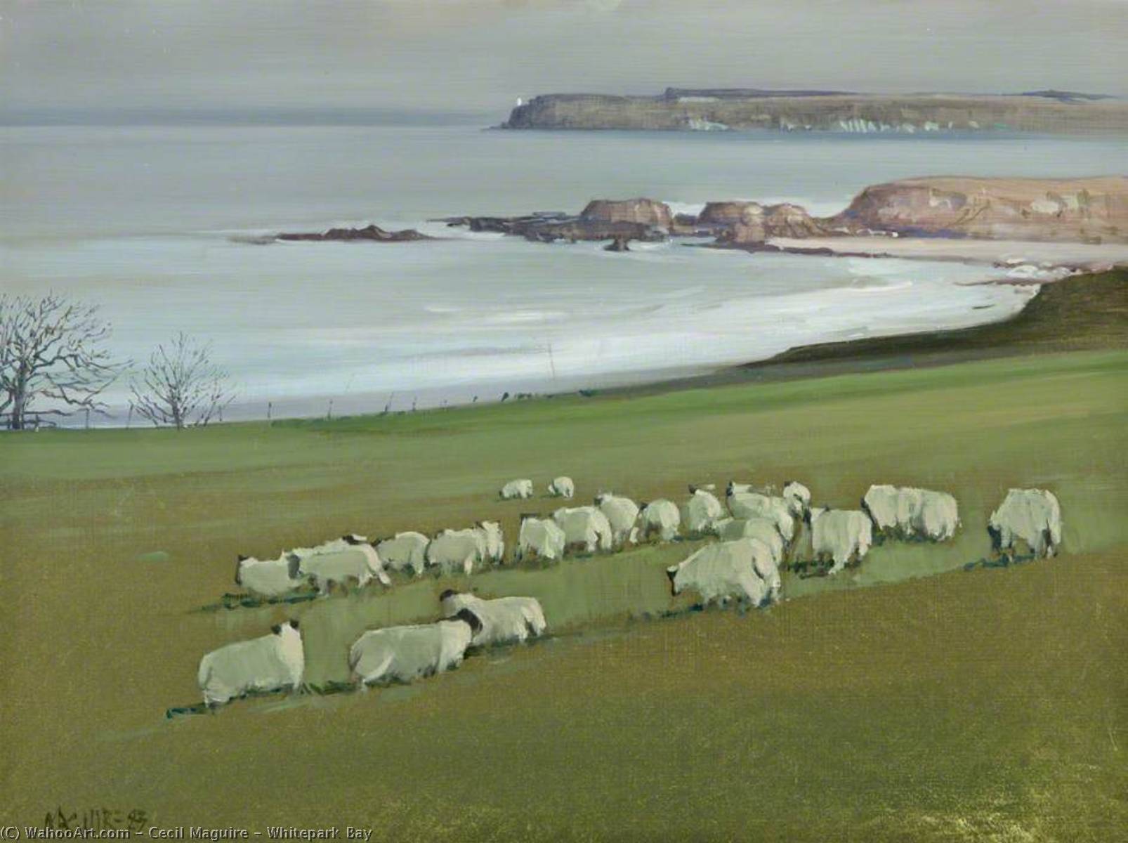 Whitepark Bay — Cecil Maguire