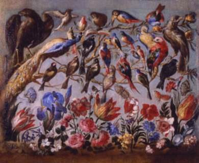 Concert Of Birds (birds And Flowers) — Juan De Arellano