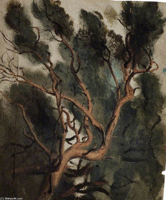 Tree Study — Joshua Cristall