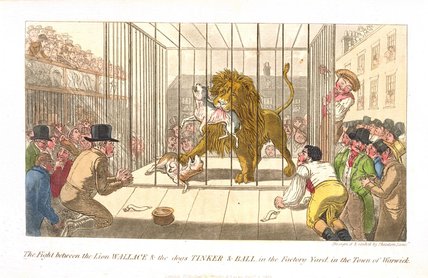 The Fight Between The Lion Wallace And The Dogs — Theodore Lane