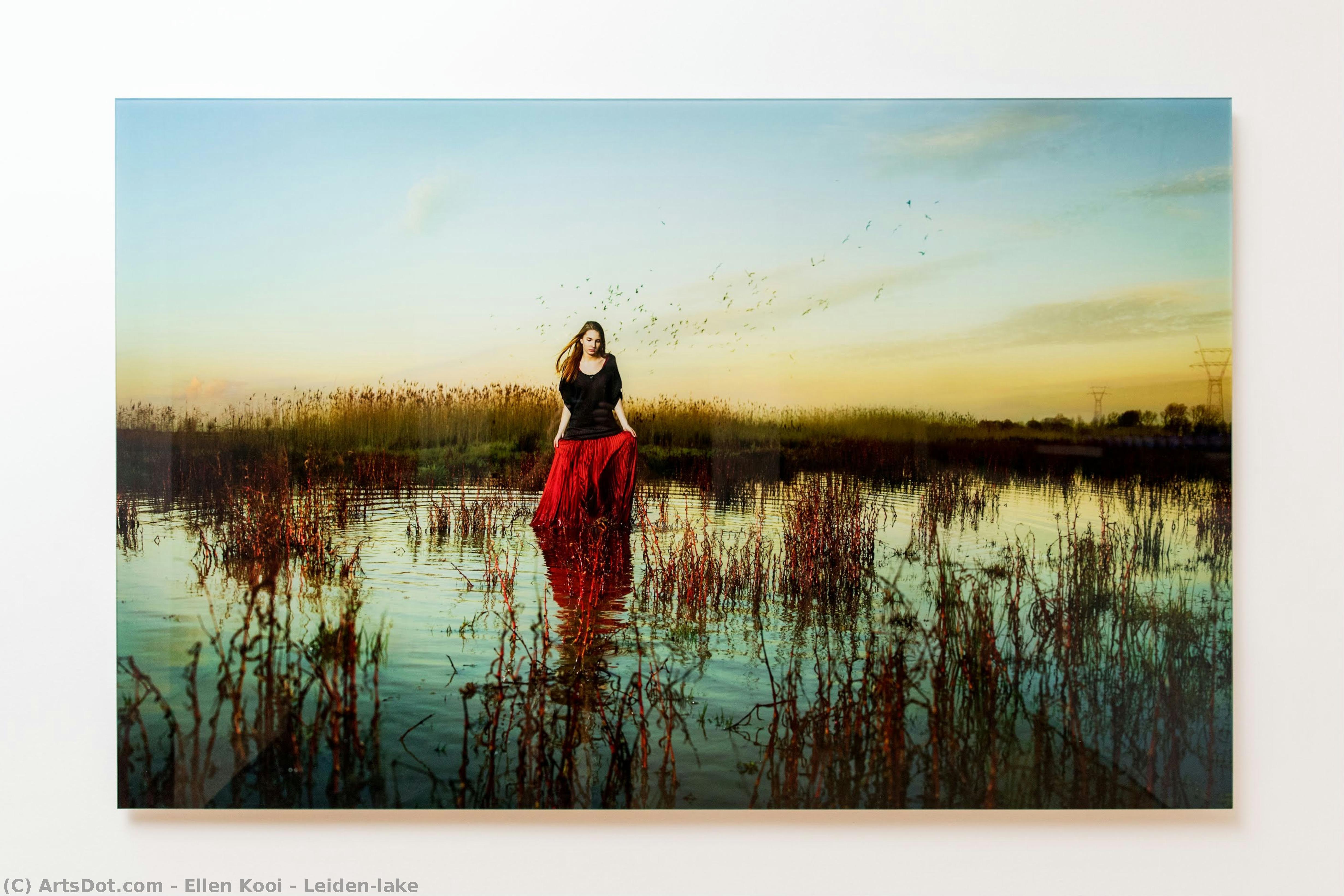 Leiden-lake — Ellen Kooi