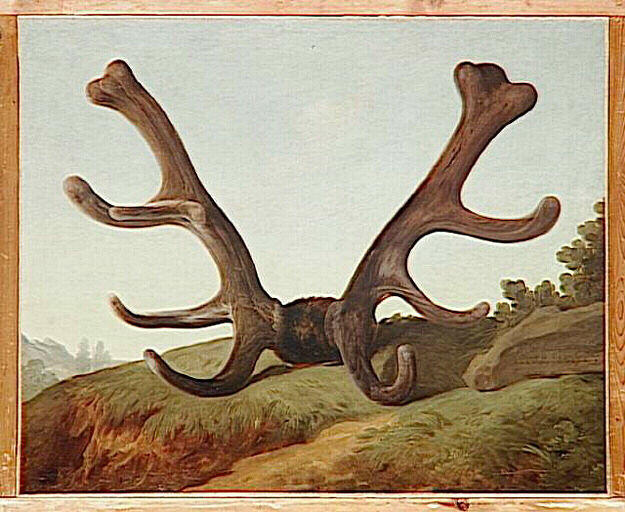 Bois D'un Cerf Attaqué Par L'équipage Du Roi Au Bois Guérin, Le 1er Juin 1778 — Jean-jacques Bachelier