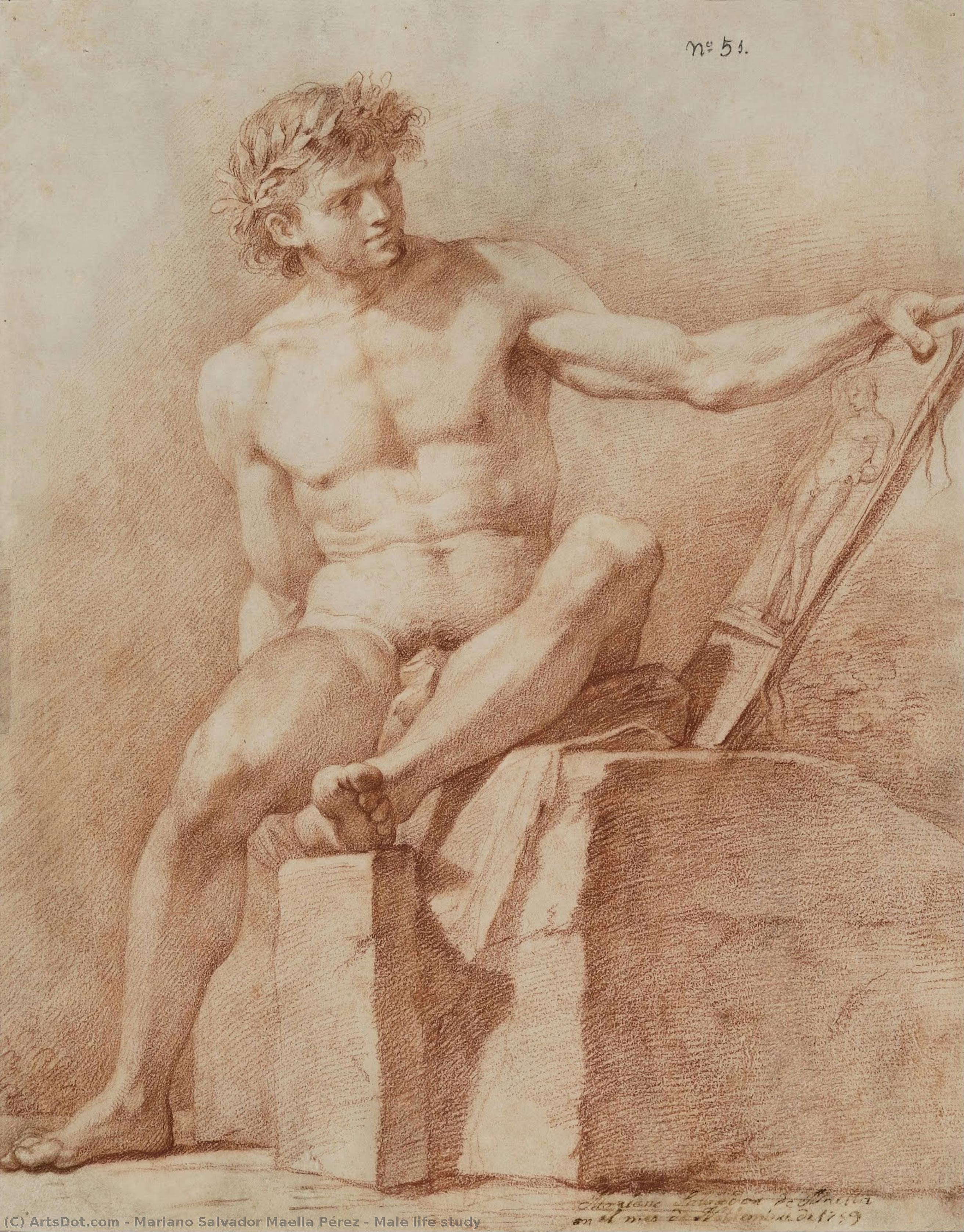 Male Life Study — Mariano Salvador Maella Pérez