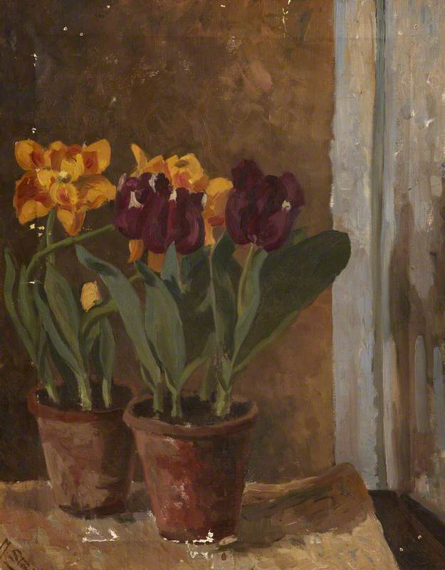Still Life Of Yellow And Purple Tulips In Two Terracotta Pots — Margaret Frances Anne Vane-tempest-stewart