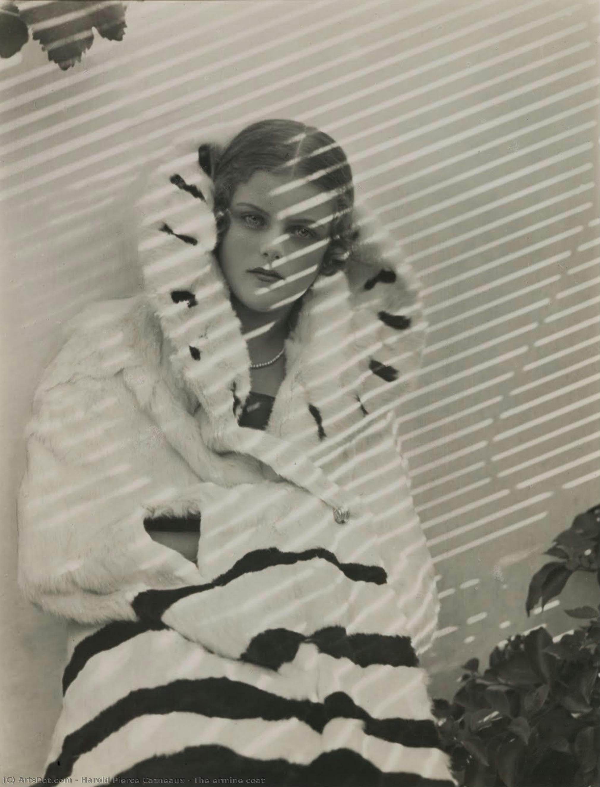The Ermine Coat — Harold Pierce Cazneaux