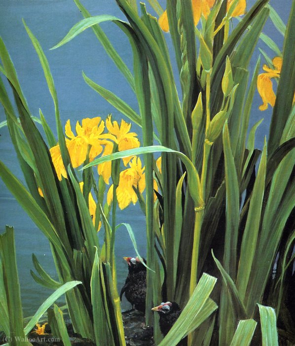 Untitled (995) — Robert Bateman