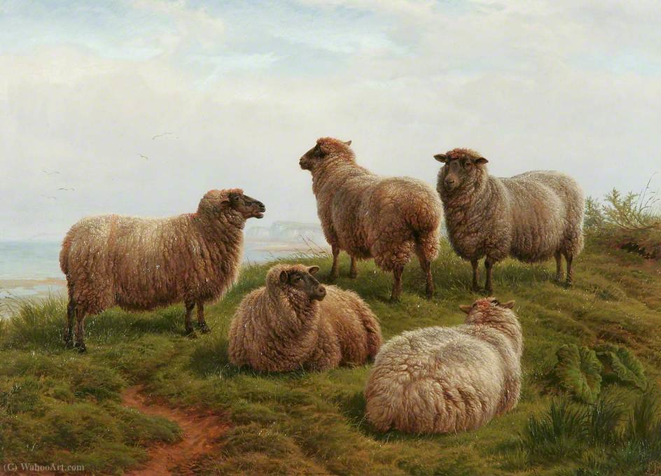 Sheep On A Hillside — Charles Jones