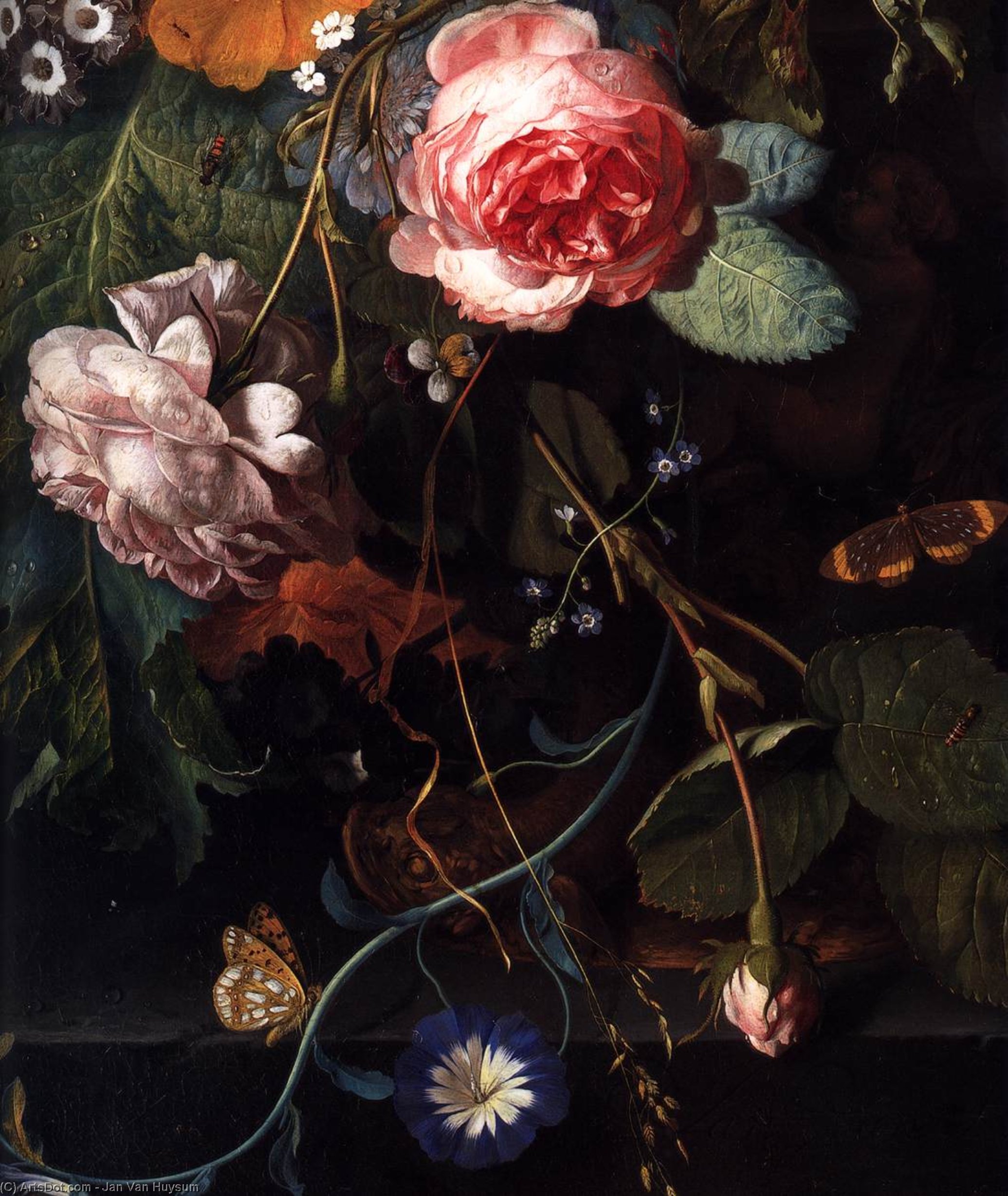 Bouquet Of Flowers (detail) — Jan Van Huysum