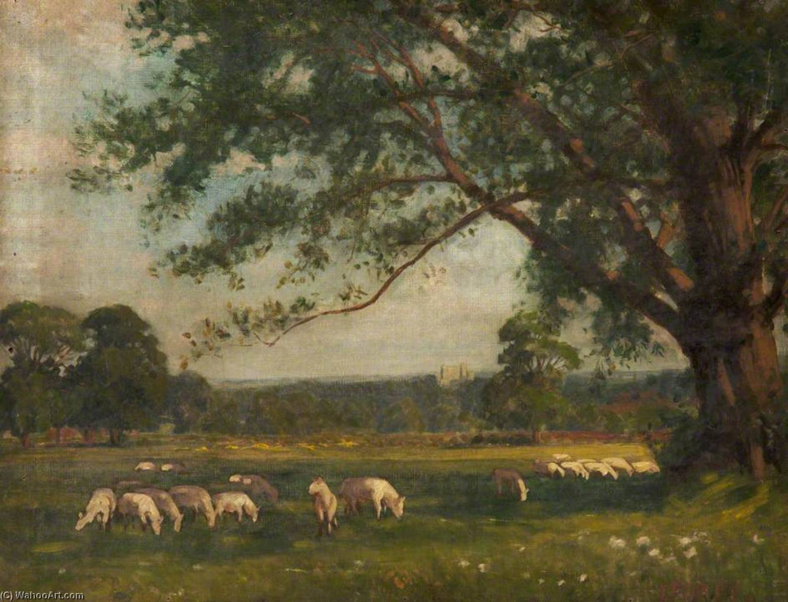 Landscape With Sheep — James Purdy